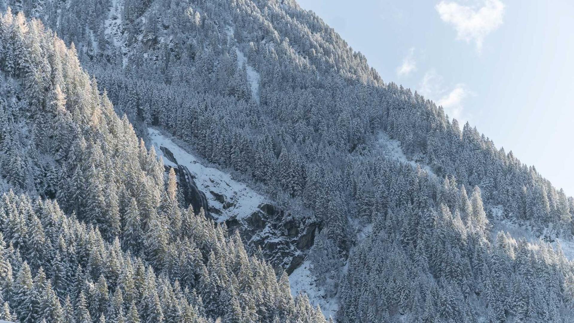 Haus Gleinser - Neustift Im Stubaital Bagian luar foto